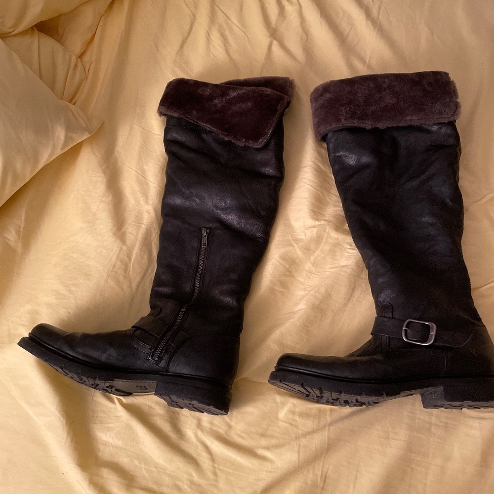 Frye boots